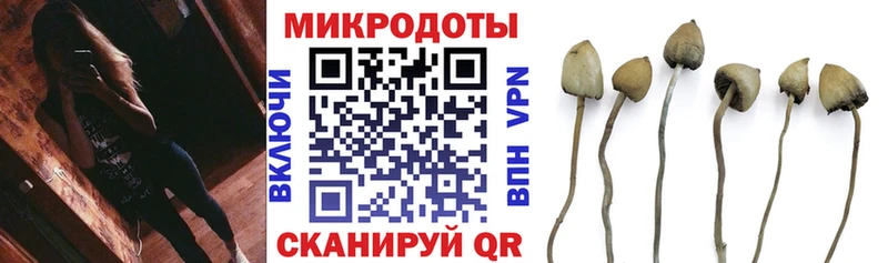 Псилоцибиновые грибы ЛСД  где найти   Зерноград 